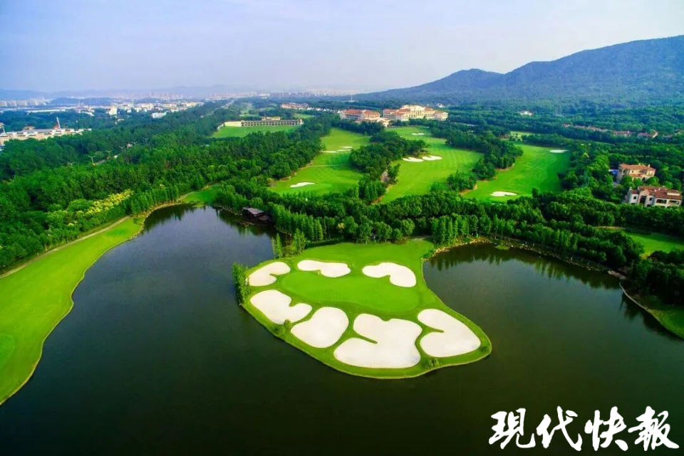 三连鸟主要 三连鸟主要