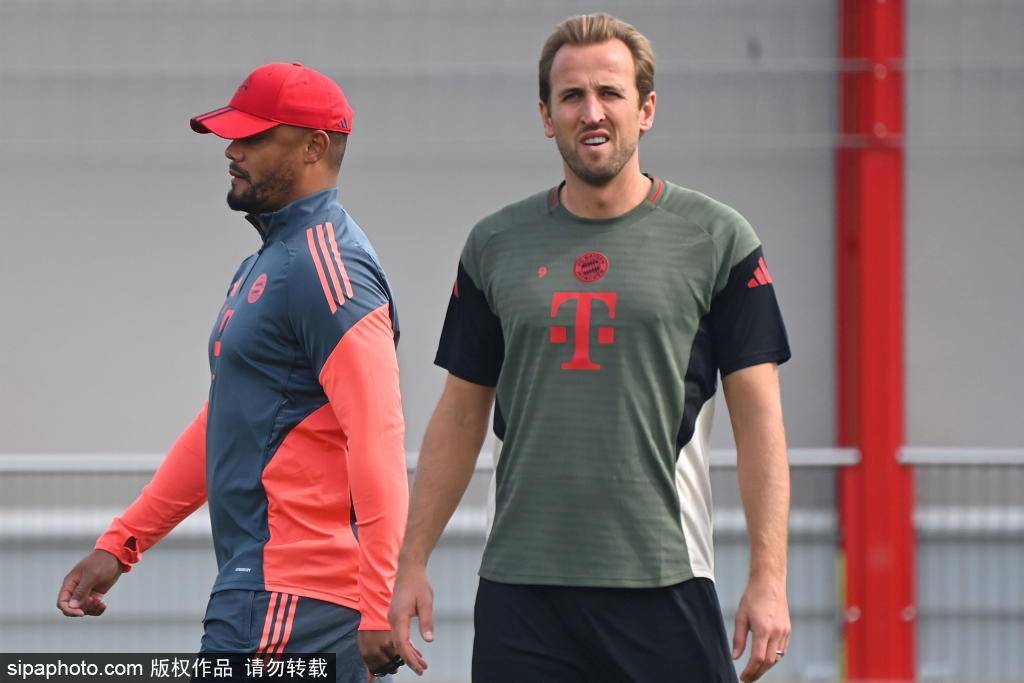 无疑为这座 无疑为这座